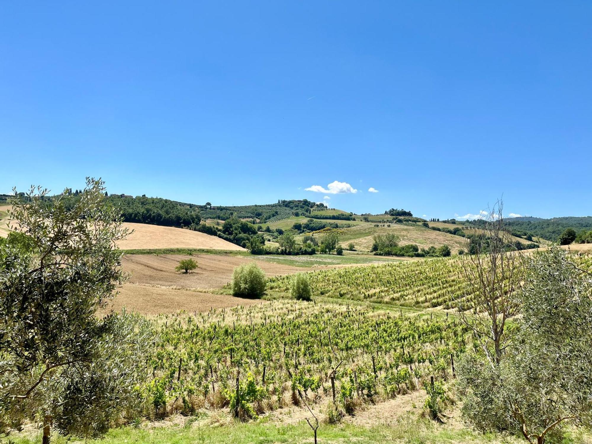 Cetine Vecchie Villa Torrita di Siena Exteriör bild