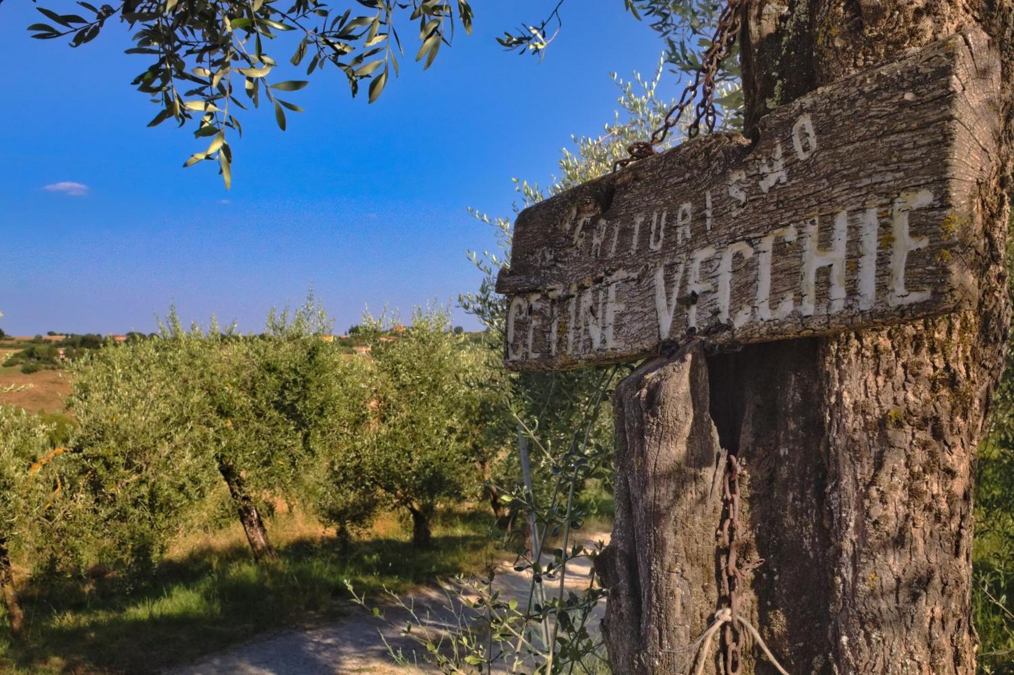 Cetine Vecchie Villa Torrita di Siena Exteriör bild